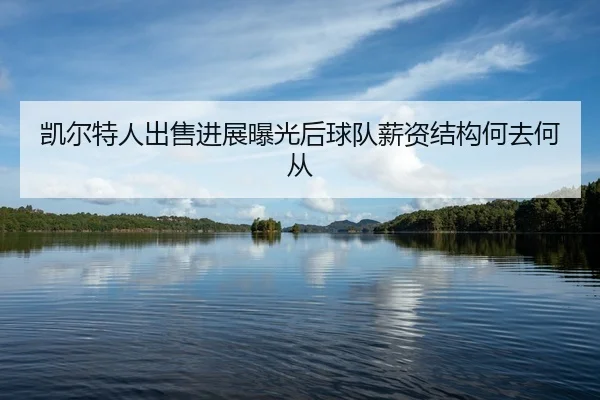 kai-er-te-ren-chu-shou-jin-zhan-bao-guang-hou-qiu-dui-xin-zi-jie-gou-he-qu-he-cong-2-238.jpg