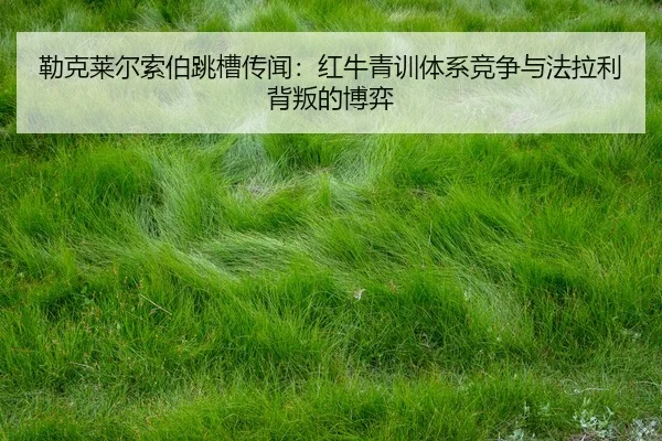lei-ke-lai-er-suo-bo-tiao-cao-chuan-wen-hong-niu-qing-xun-ti-xi-jing-zheng-yu-fa-la-li-bei-pan-de-bo-yi-2-289.jpg