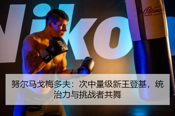 nu-er-ma-ge-mei-duo-fu-ci-zhong-liang-ji-xin-wang-deng-ji-tong-zhi-li-yu-tiao-zhan-zhe-gong-wu-3-631.jpg