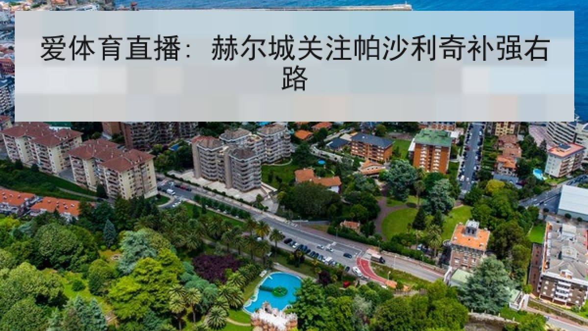 爱体育直播: 赫尔城关注帕沙利奇补强右路
