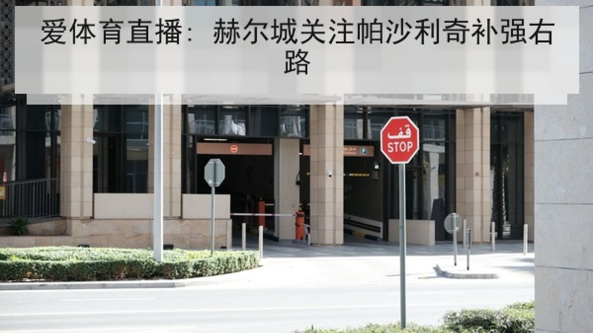 爱体育直播: 赫尔城关注帕沙利奇补强右路