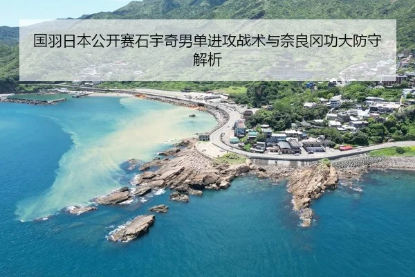 guo-yu-ri-ben-gong-kai-sai-shi-yu-qi-nan-dan-jin-gong-zhan-shu-yu-nai-liang-gang-gong-da-fang-shou-jie-xi-2-178.jpg
