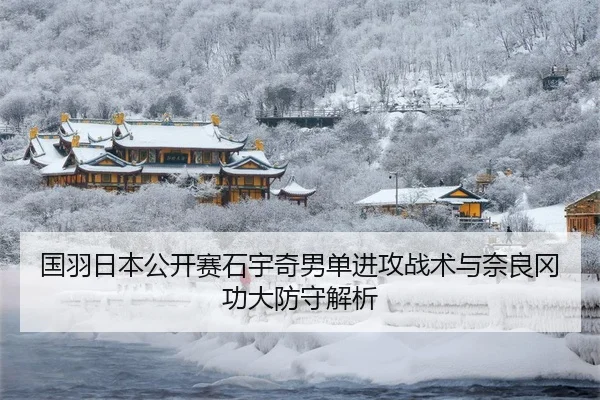 guo-yu-ri-ben-gong-kai-sai-shi-yu-qi-nan-dan-jin-gong-zhan-shu-yu-nai-liang-gang-gong-da-fang-shou-jie-xi-3-153.jpg